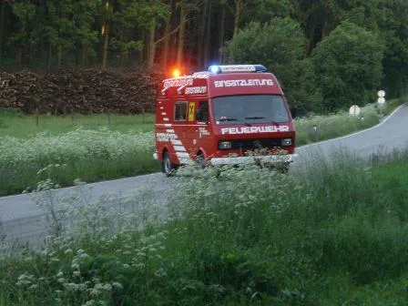 Beitragsbild