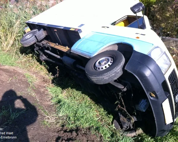 Galerie Bild
