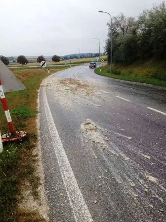 Beitragsbild