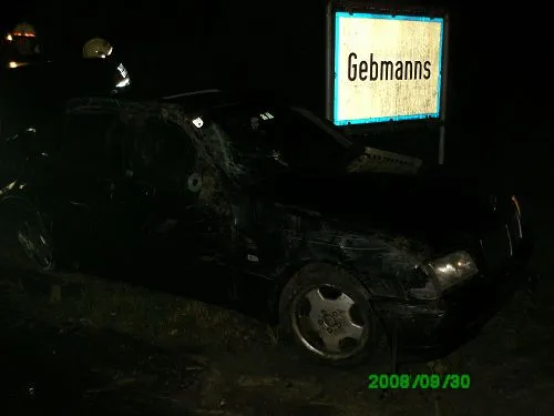 Galerie Bild