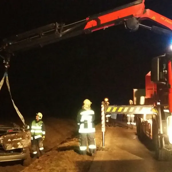 Galerie Bild