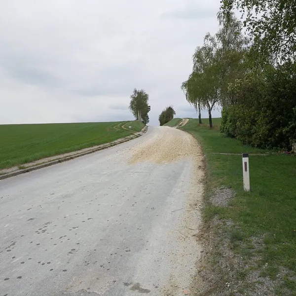Beitragsbild