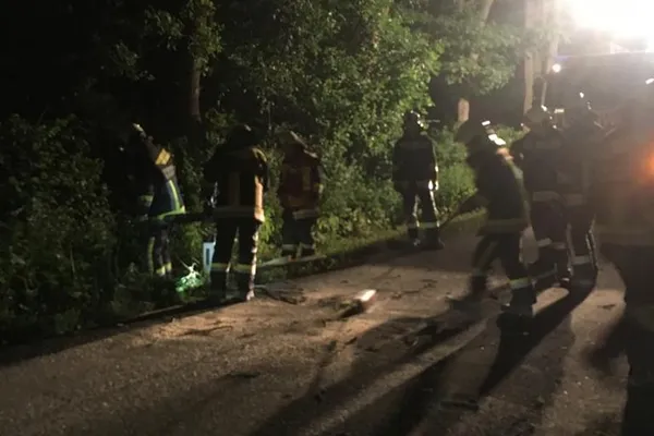 Sturmschaden, Baum über Fahrbahn