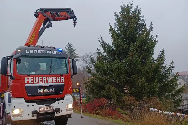 Christbaum aufstellen