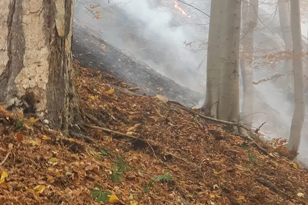 Waldbrand in Hirschwang an der Rax
