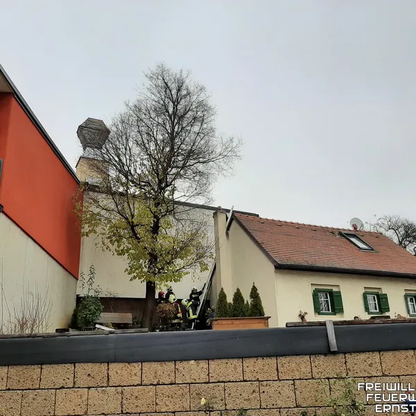 Galerie Bild