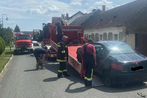 Fahrzeug Sicherstellung