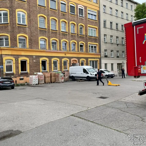 Galerie Bild