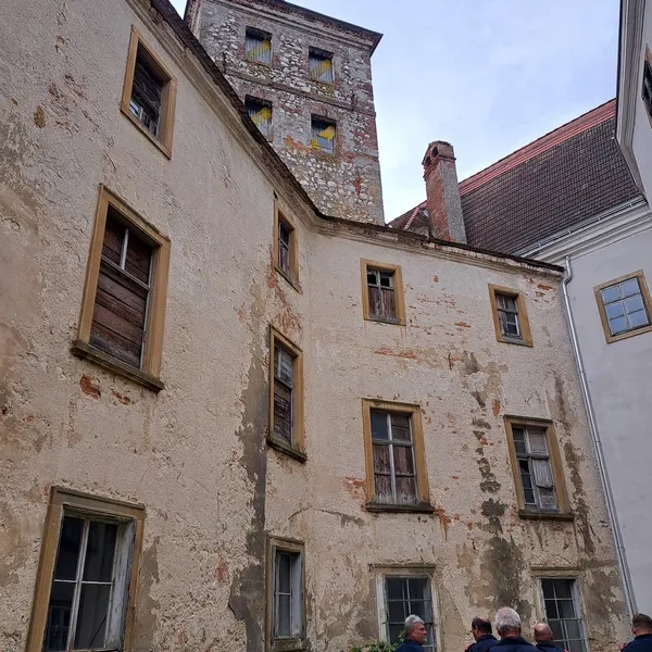 Galerie Bild