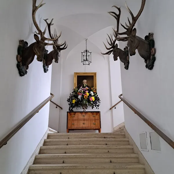 Galerie Bild