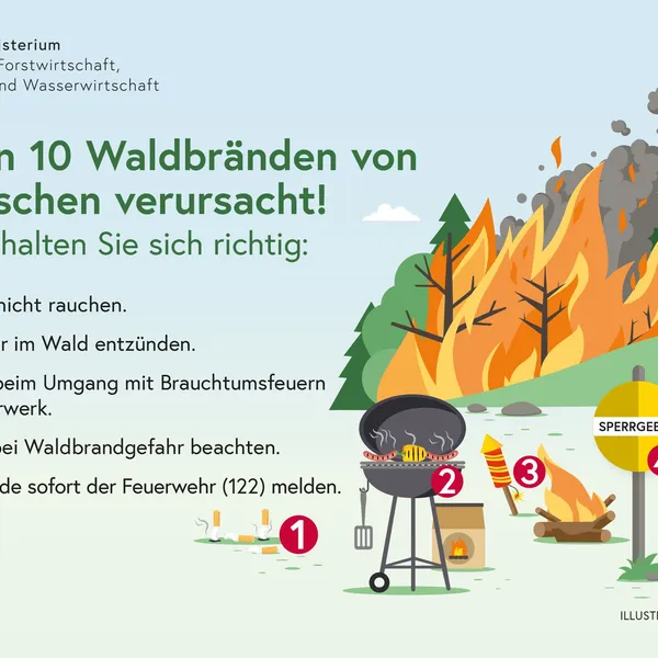 Beitragsbild