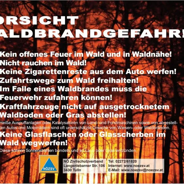 Galerie Bild