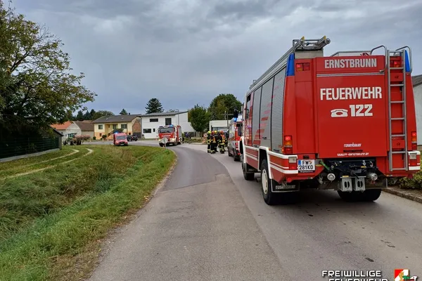 VU mit eingeklemmter Person in Herzogbirbaum
