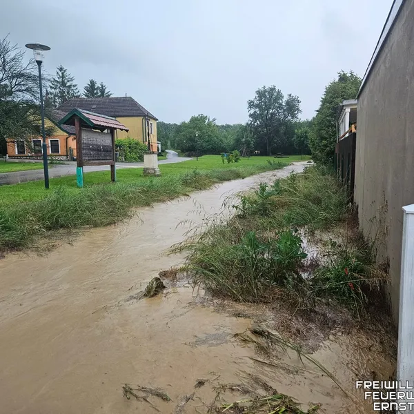 Galerie Bild
