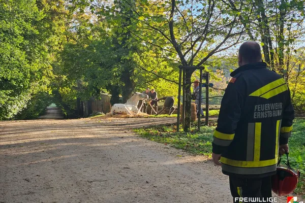 Pferderettung beim Schloss Ernstbrunn