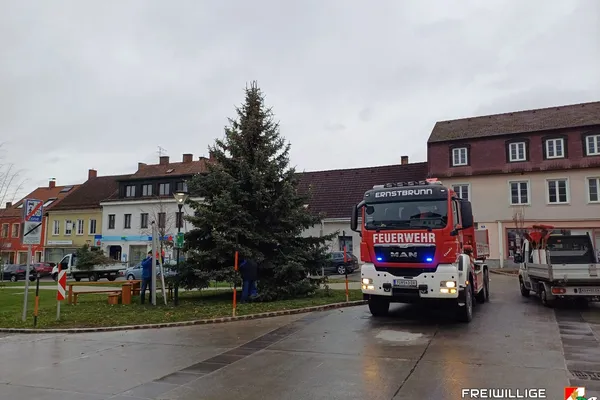 Christbaum aufstellen 2024