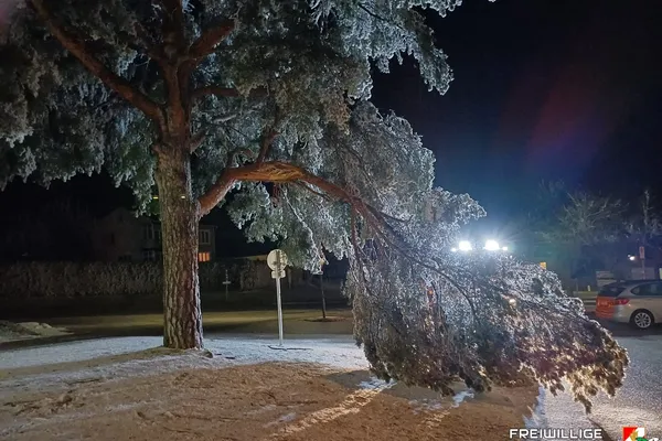 Ast nach Eisbruch entfernt