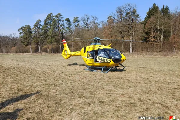 Menschenrettung nach Unfall bei Holzarbeiten im Ernstbrunner Wald
