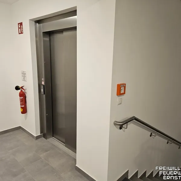 Galerie Bild