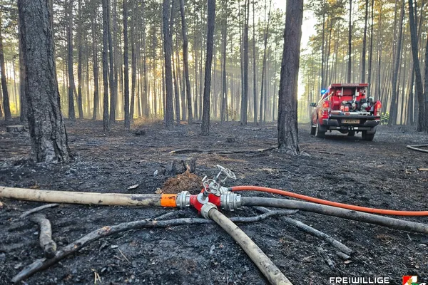 Erneuter Waldbrandeinsatz in St. Egyden am Steinfeld